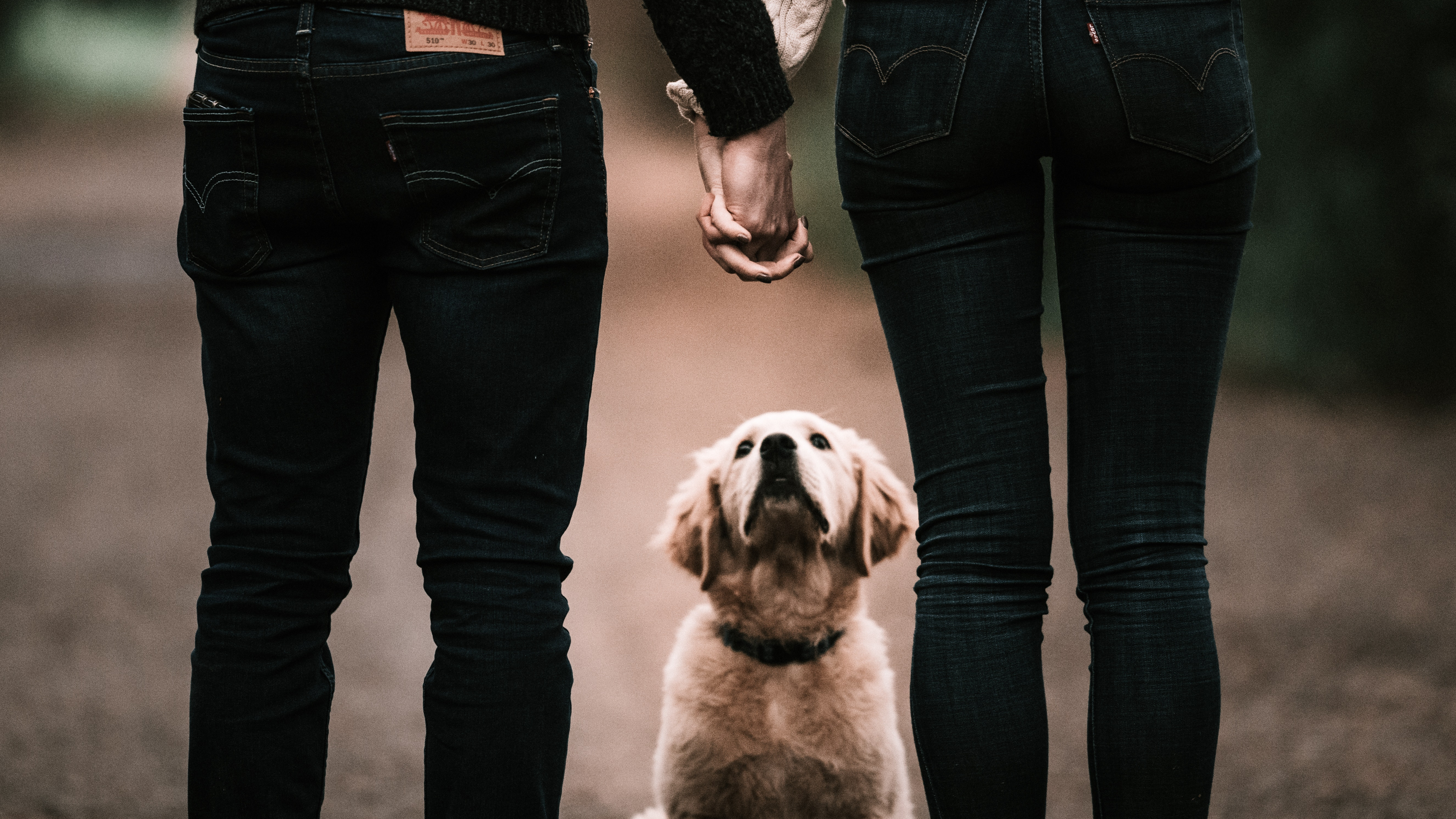 Divergent Risk Tolerances – Strategies for&nbsp;Couples