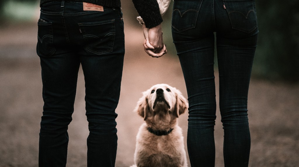 Divergent Risk Tolerances – Strategies for&nbsp;Couples